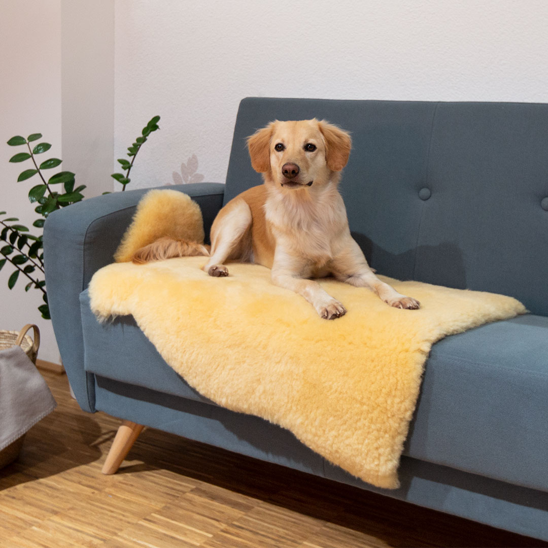 Schaffell "Lanado" - 70-80 cm - Buche von allnatura